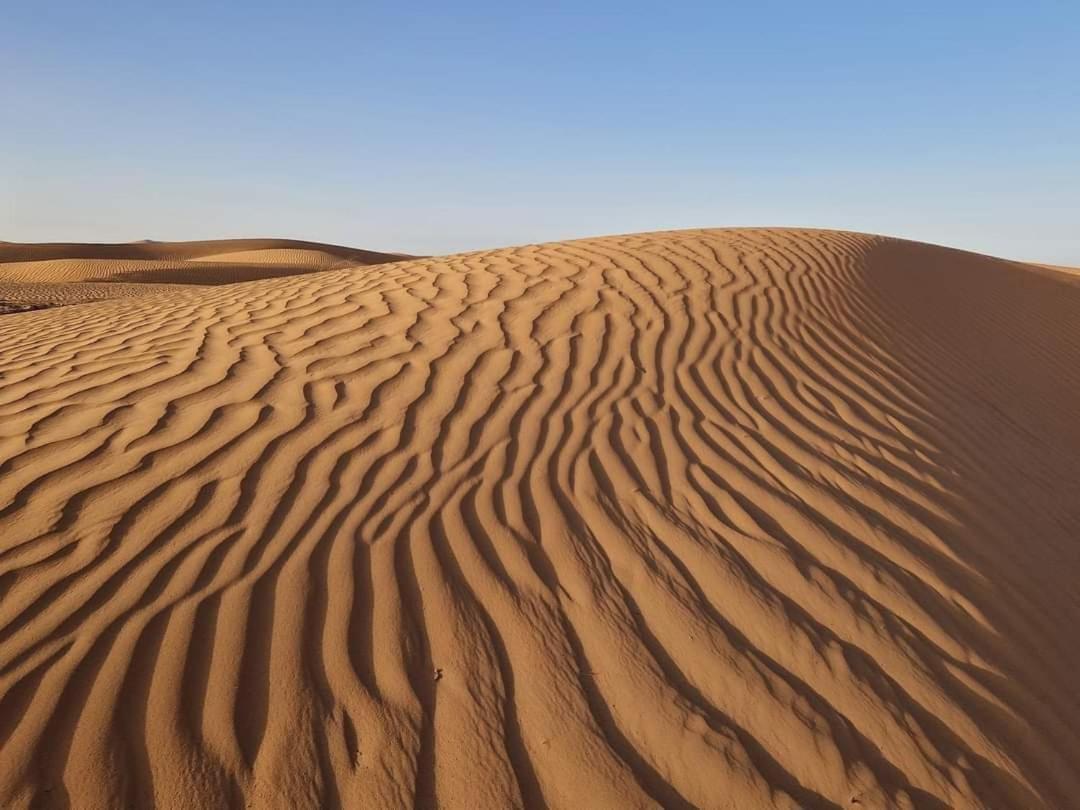 梅尔祖卡 Bivouac Camel Trips酒店 外观 照片
