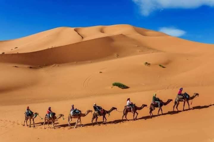 梅尔祖卡 Bivouac Camel Trips酒店 外观 照片