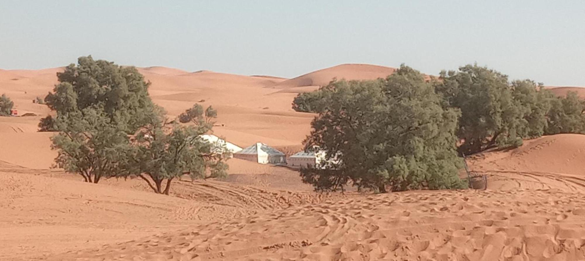 梅尔祖卡 Bivouac Camel Trips酒店 外观 照片