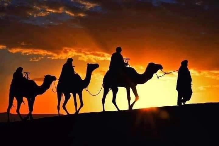 梅尔祖卡 Bivouac Camel Trips酒店 外观 照片