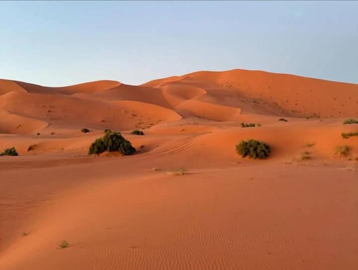 梅尔祖卡 Bivouac Camel Trips酒店 外观 照片