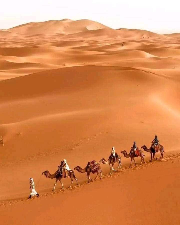 梅尔祖卡 Bivouac Camel Trips酒店 外观 照片