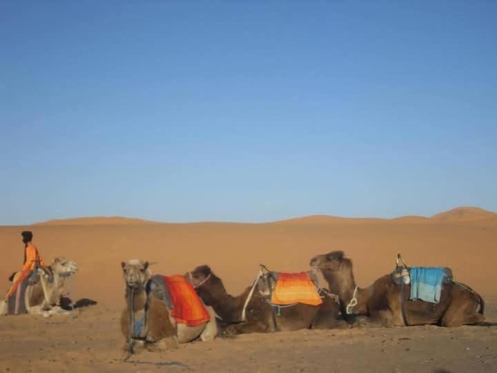 梅尔祖卡 Bivouac Camel Trips酒店 外观 照片