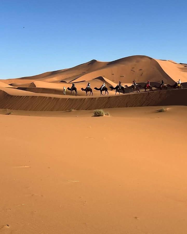 梅尔祖卡 Bivouac Camel Trips酒店 外观 照片